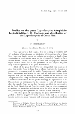 Studies on the genus Leptodactylidae). 11. Diagnosis and