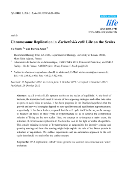 Chromosome Replication in Escherichia coli: Life on the Scales