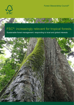FSC&reg;: increasingly relevant for tropical forests.