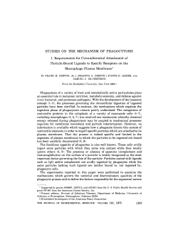 STUDIES ON THE MECHANISM OF PHAGOCYTOSIS I
