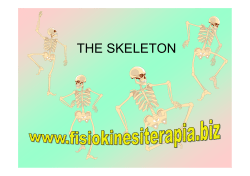 the skeleton - Fisiokinesiterapia
