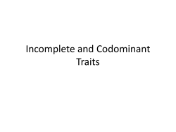 Incomplete and Codominant Traits