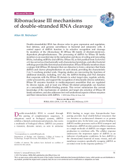 Ribonuclease III mechanisms of doublestranded RNA cleavage