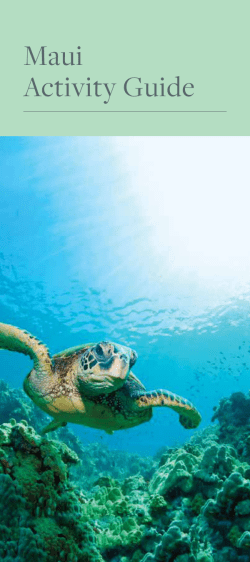 Maui Activity Planner