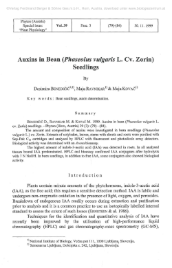 Auxins in Bean {Phaseolus vulgaris L. Cv. Zorin) Seedlings