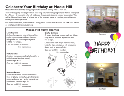 Birthday Party Brochure