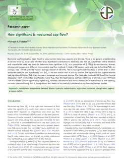 How significant is nocturnal sap flow?