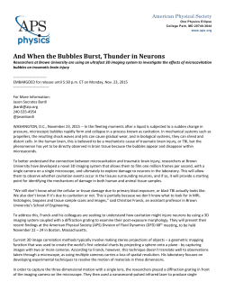 And When the Bubbles Burst, Thunder in Neurons