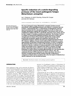 Specific induction of a cuticle-degrading protease of