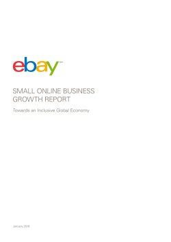 small online business growth report