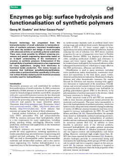 surface hydrolysis and functionalisation of synthetic polymers