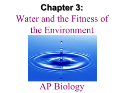 Chapter 3 - My Teacher Site