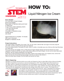 Liquid Nitrogen Ice Cream