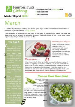 Peas and Broad Beans Salad