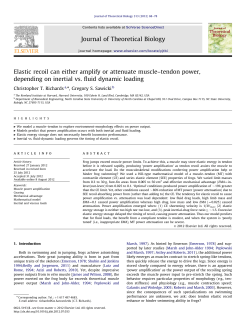 Elastic recoil can either amplify or attenuate muscle&ndash;tendon power
