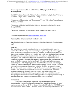 Electrically Conductive Pili from Pilin Genes of