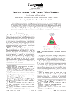 Formation of Magnesium Fluoride Particles of Different Morphologies