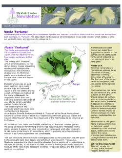 November 2013 - Mickfield Hostas