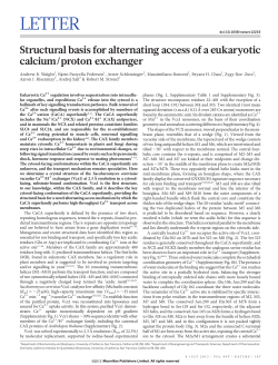 Structural basis for alternating access of a eukaryotic calcium/proton