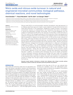Nitric oxide and nitrous oxide turnover in natural