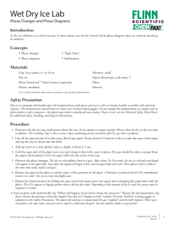 Wet Dry Ice Lab - Flinn Scientific