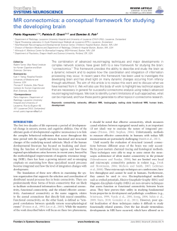 MR connectomics: a conceptual framework for studying the