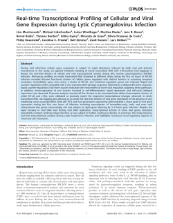 Real-time Transcriptional Profiling of Cellular and Viral Gene