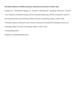 Microbial reduction of Fe(III)-bearing clay