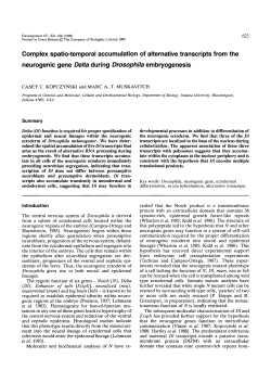 Complex spatio-temporal accumulation of alternative