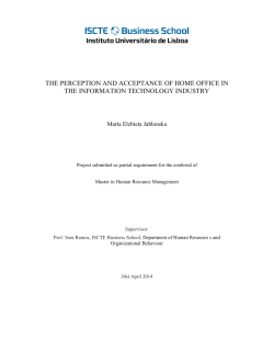 the perception and acceptance of home office in the information