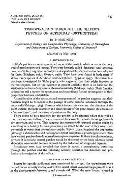 transpiration through the slifer`s patches of acrididae (orthoptera)
