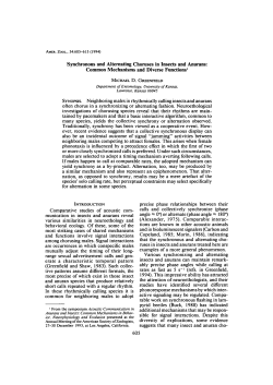 Synchronous and Alternating Choruses in Insects and Anurans