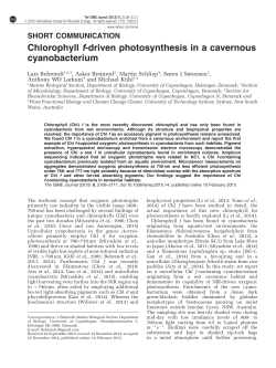 Chlorophyll f-driven photosynthesis in a cavernous