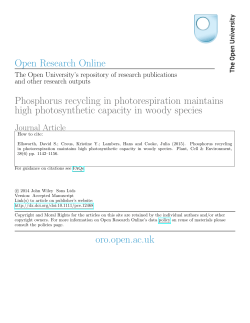 Phosphorus recycling in photorespiration maintains high