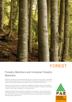 forest - FAE Group