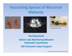 Fascinating Species of Wisconsin Wetlands