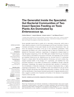 The Generalist Inside the Specialist: Gut Bacterial Communities of