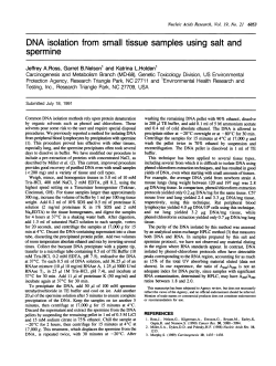 DNA isolation from small tissue samples using salt