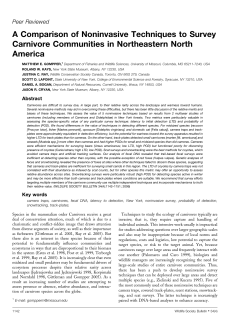 A Comparison of Noninvasive Techniques to Survey Carnivore
