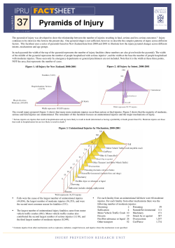 IPRU FACTSHEET 37 Pyramids of Injury