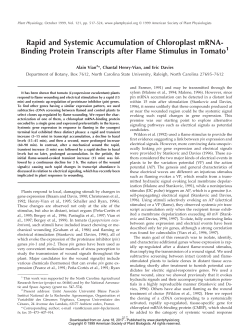 Rapid and Systemic Accumulation of Chloroplast mRNA