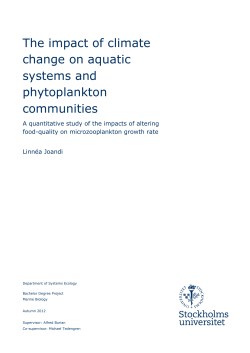 The impact of climate change on aquatic systems and phytoplankton