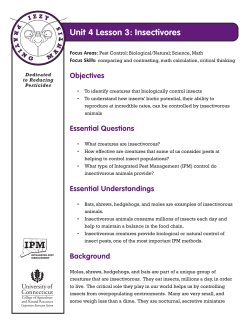 Unit 4 Lesson 3: Insectivores