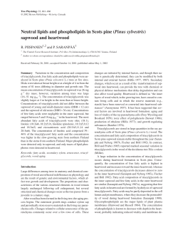 Neutral lipids and phospholipids in Scots pine (Pinus sylvestris