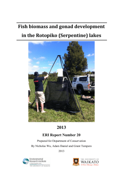 as PDF - University of Waikato