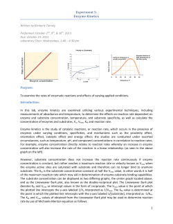 Experiment 5: Enzyme Kinetics - Kimberly Tierney`s Portfolio of
