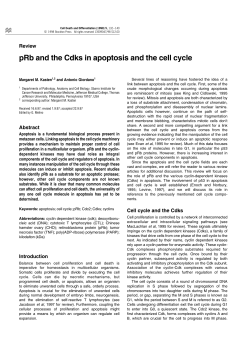 pRb and the Cdks in apoptosis and the cell cycle