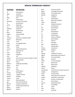 SUFFIXES DEFINITION