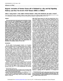 Hypoxic Activation of Nuclear Factor