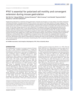 PTK7 is essential for polarized cell motility and convergent